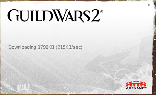 cannot download guild wars 2 client